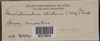 Image Associated With the Occurence